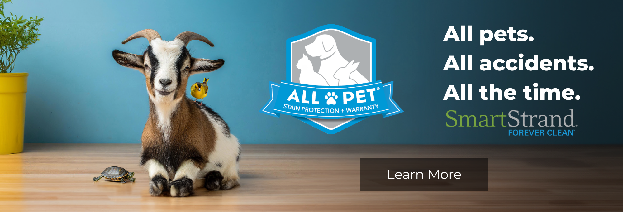 Smartstrand AllPet Flooring in Dyersburg, TN
